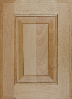 Cabinet Door 9